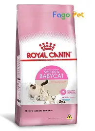 Hạt Khô Royal Canin Cho Mèo Trưởng Thành
